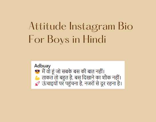 Attitude Instagram Bio For Boys in Hindi​