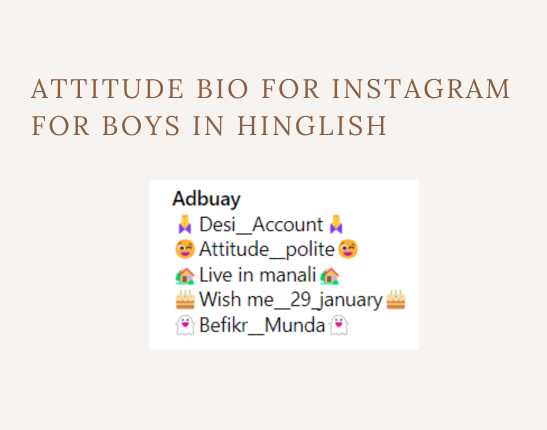 Attitude bio for Instagram for Boys in Hinglish​