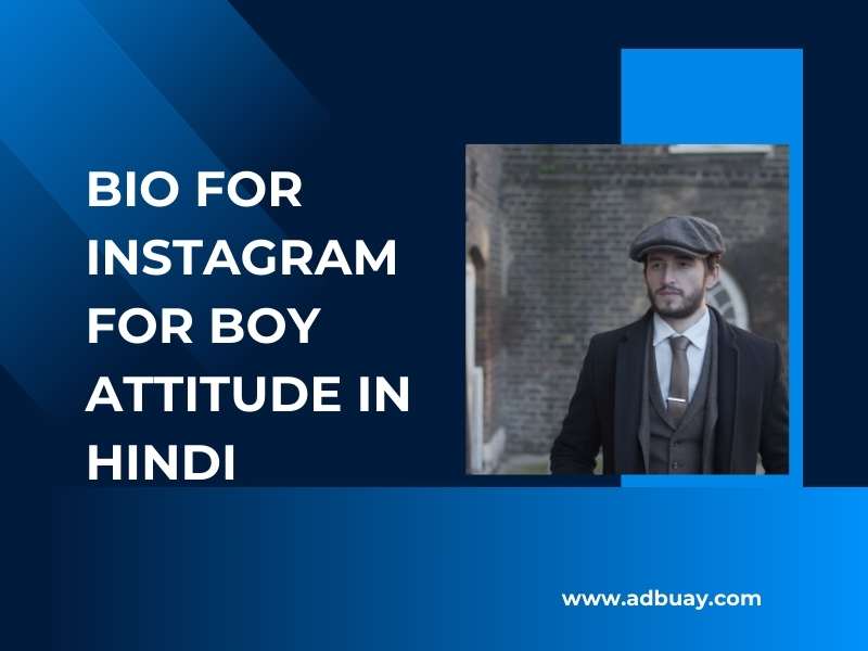 Bio For Instagram For Boy Attitude in Hindi​