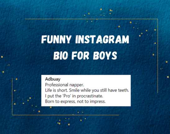 Funny Instagram Bio For boys​