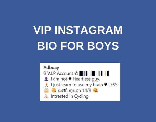 Vip Instagram Bio for Boys​