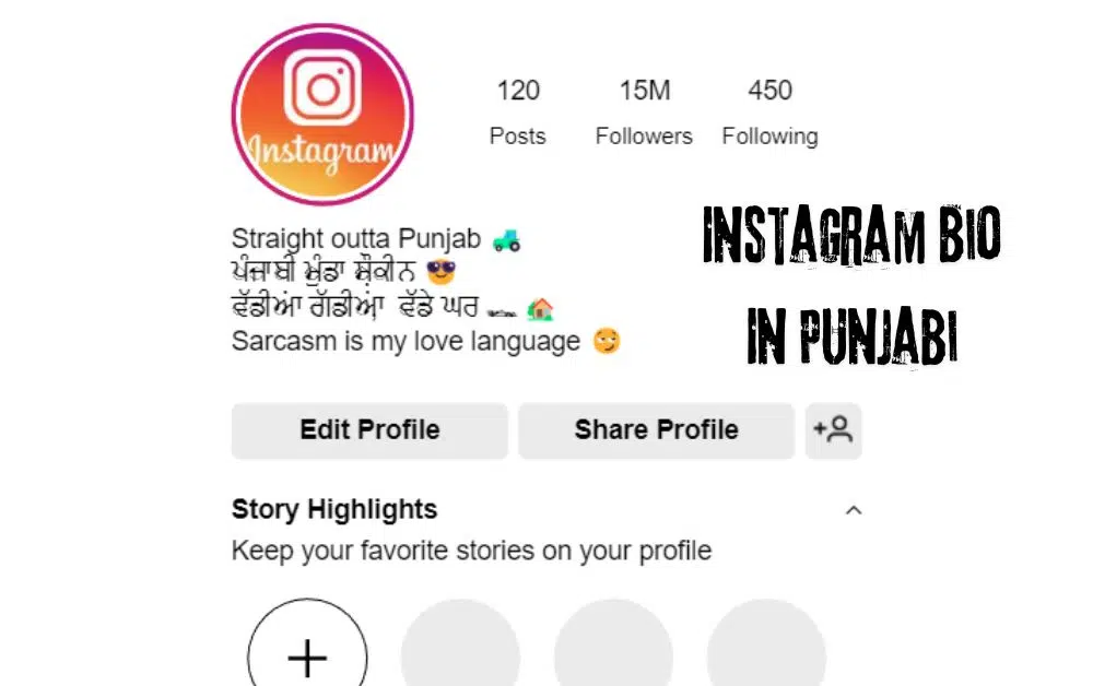 Instagram Bio In Punjabi